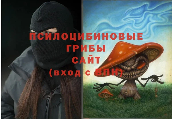 гидропоника Новозыбков