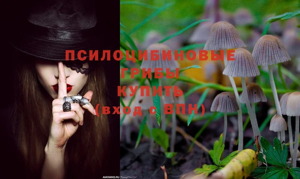 гидропоника Новозыбков
