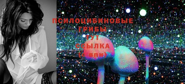 дмт Новокубанск