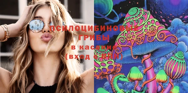 дмт Новокубанск