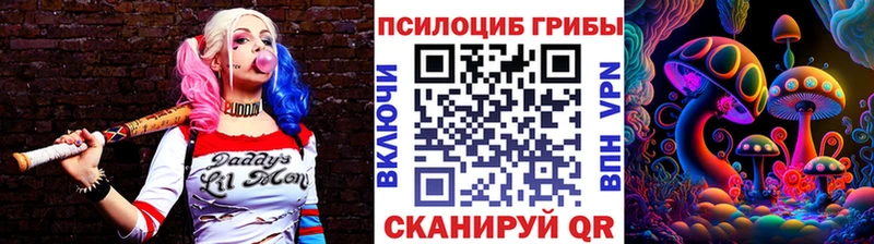 Галлюциногенные грибы Magic Shrooms  Катайск 