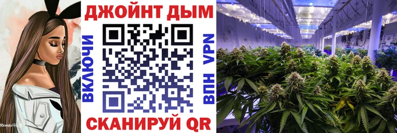 мориарти как зайти  Катайск  Бошки Шишки VHQ  цена  